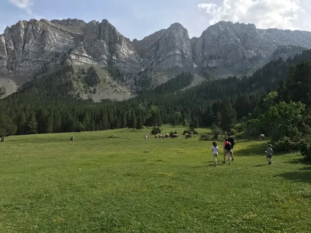 Paisaje natural Cadí – EcoData Natura